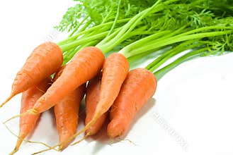 Carrot