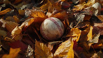 Baseball in Fall Leaves