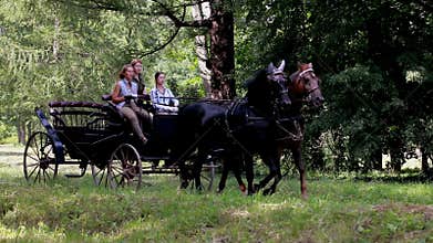 Carriage with horses
