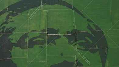 Aerial view of Bangabandhu crop-field mosaic breaks Guinness World Records in Bogura, Bangladesh.