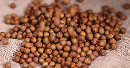 Roasted chickpeas are scattered on the table before cooking