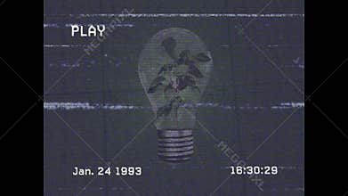 PLAY indicator starting recording bulb rotating anticlockwise revealing plant amid VHS artifacts