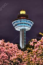 Singapore Changi Airport Control Tower At Night