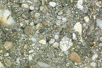 Rough Concrete with Stones – Urban Texture Background