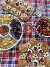 Picnic Table Spread with Snacks, Sweets, and Soda