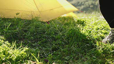 Woman places portable mini gas stove, sets cooking pot near yellow tent. Slow motion scene of backpacking trip showing