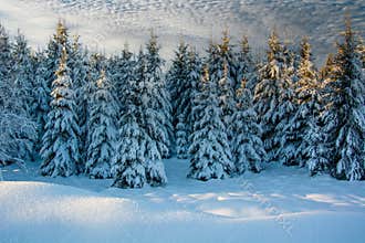 the sun rises after the heavy snowfall of the night