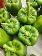 Bright green bell peppers
