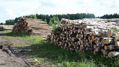 Wood fuel logs stack