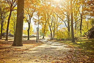 Central Park Scenic in Autumn, New York