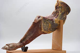 ham, spanish, meat, food, culinary, leg, pork, natural, stand, w
