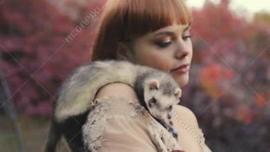 small animal, domestic ferret sits on shoulder. pet gently touches kisses licks