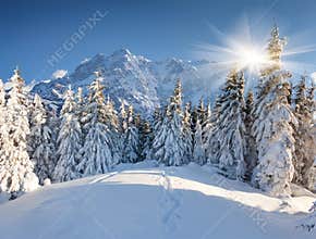 Beautiful winter landscape in huge mountains