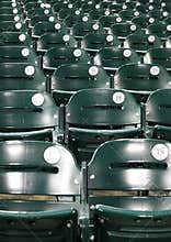 Stadium baseball