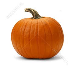 Pumpkin