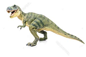 Miniature of tyrannosaurus-rex on white background