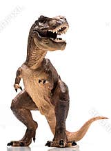 T rex