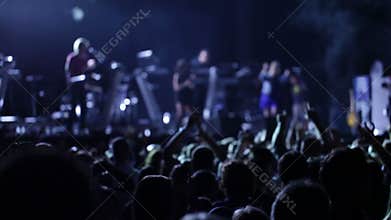 Anonymous crowd at a pop concert