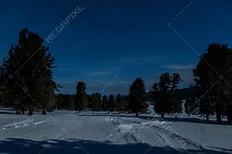 Star snow night sky cedars