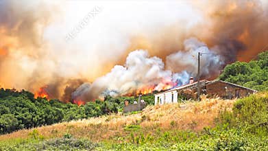 Huge forest fire threatens homes in Portugal