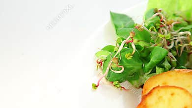 Roasted chicken leg with potatos sprouts salad and tomatoes