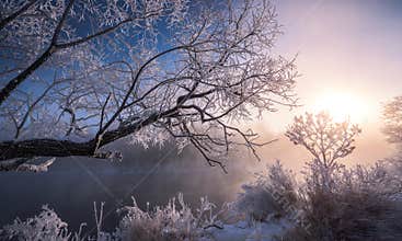 Morning Frost over the Mist - Shrouded River
