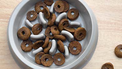 Dog food slowly disappearing from slow feeder bowl