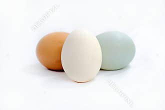 Three eggs: brown, white, and blue-green on white.