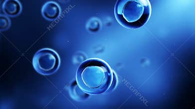 Stem cells dividing under the microscope. Cell division or cloning cells. Cloning closeup. Mitosis in process.