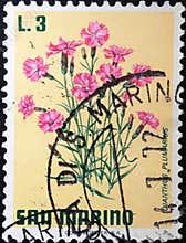 San Marino stamp with Dianthus plumarius