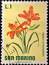 San Marino stamp with hybrid daylily