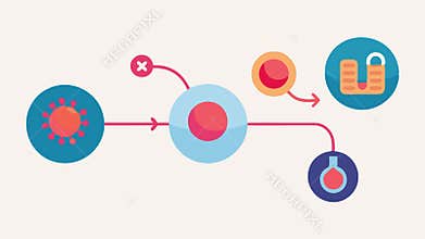 Exosome Journey A stepbystep flowchart depicting the journey of exosomes from the application process to integration