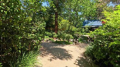 footage along a winding footpath with lush green trees and plants and colorful flowers at Descanso Gardens La Canada Flintridge