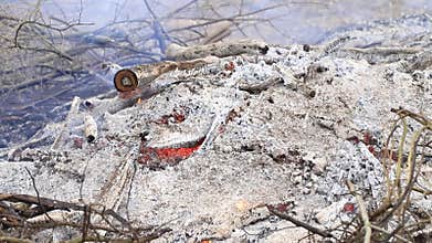 Smoldering Ashes and Branches from a Bonfire