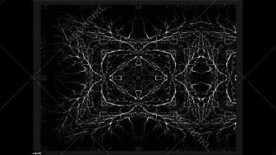 Animated kaleidoscope image