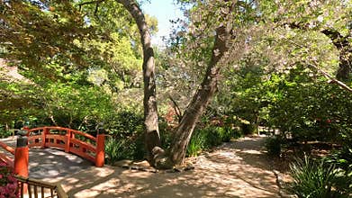 footage of an arched orange bridge over a river, lush green trees and flowers at Descanso Gardens La Canada Flintridge California