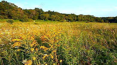 Shabbona Lake State Park