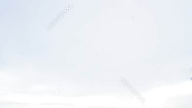 The background is a clear sky and a few clouds below