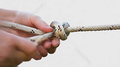 Hands tying secure knot thick rope teamwork strength connection pulling test stock footage Generative AI