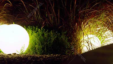 Glowing Orbs in a Serene Night Garden