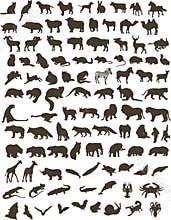 100 animals