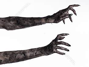 Black hand of death, the walking dead, zombie theme, halloween theme, zombie hands, white background, mummy hands