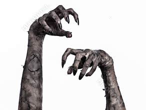 Black hand of death, the walking dead, zombie theme, halloween theme, zombie hands, white background, mummy hands