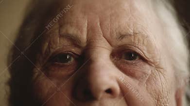 Portrait of an old lonely human who looks out the window
