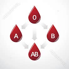 Blood type compatibility