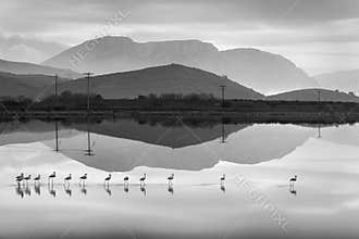 Lagoon Serenity