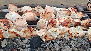 Marinated chicken skewers grilling on charcoal barbecue