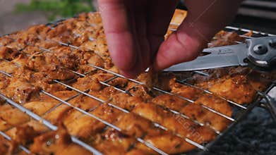 Marinated Chicken Pieces Grilling in Metal Wire Basket for Outdoor Bbq