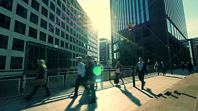 Business professionals going to work. office buildings