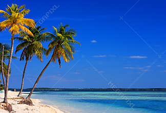 Bahamas Beach